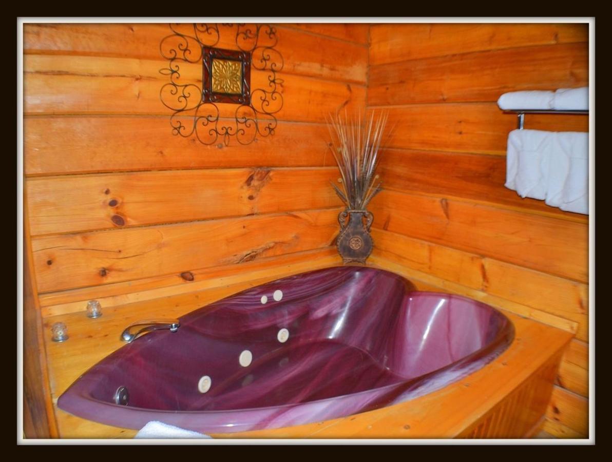 Priscilla Heights Lane Cabin 3301 Pigeon Forge Exteriér fotografie